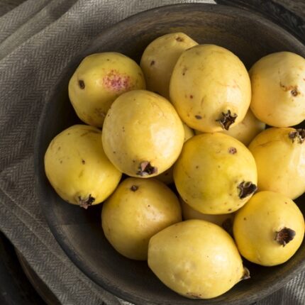 Guava